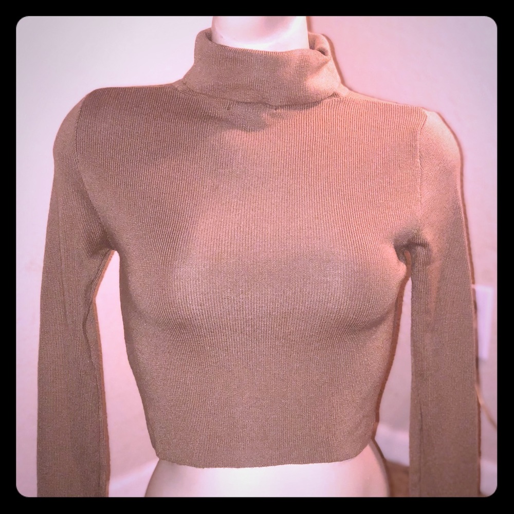 Long sleeve turtle crop